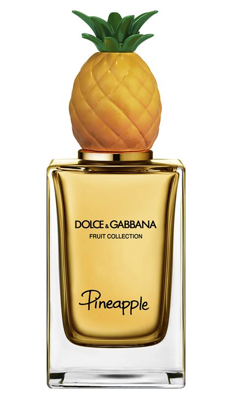 fragrantica dolce gabbana|dolce and gabbana unisex perfume.